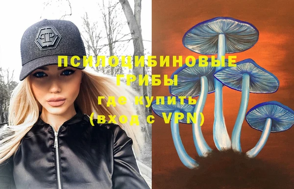 МДПВ Гусев