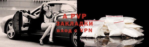 стаф Гусь-Хрустальный