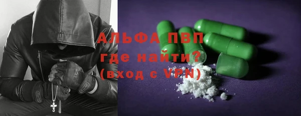 стаф Гусь-Хрустальный