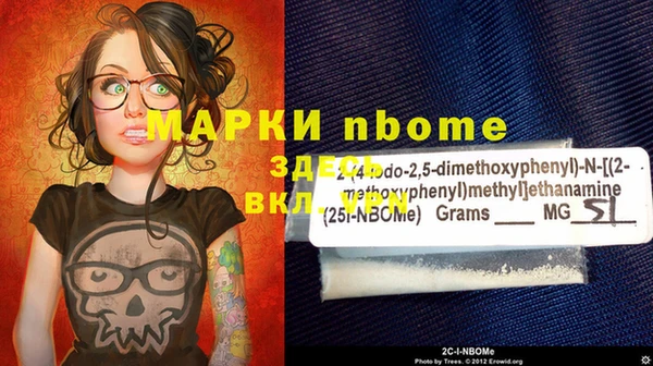 МДПВ Гусев